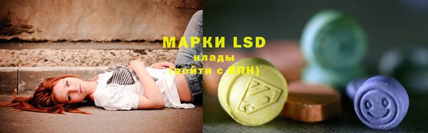 индика Пестово