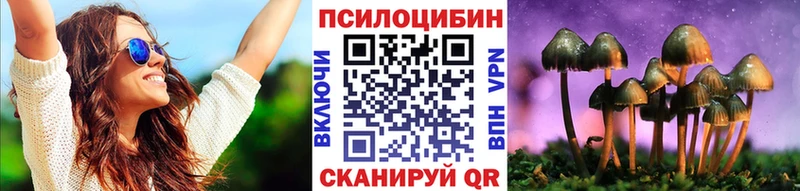 купить наркотик Себеж Галлюциногенные грибы прущие грибы
