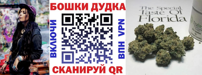 закладки  Себеж  Канабис THC 21% 